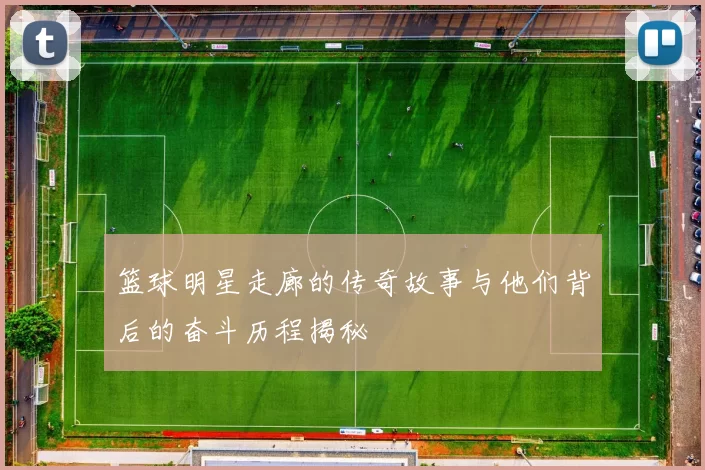 篮球明星走廊的传奇故事与他们背后的奋斗历程揭秘