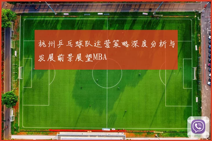 杭州乒乓球队运营策略深度分析与发展前景展望MBA