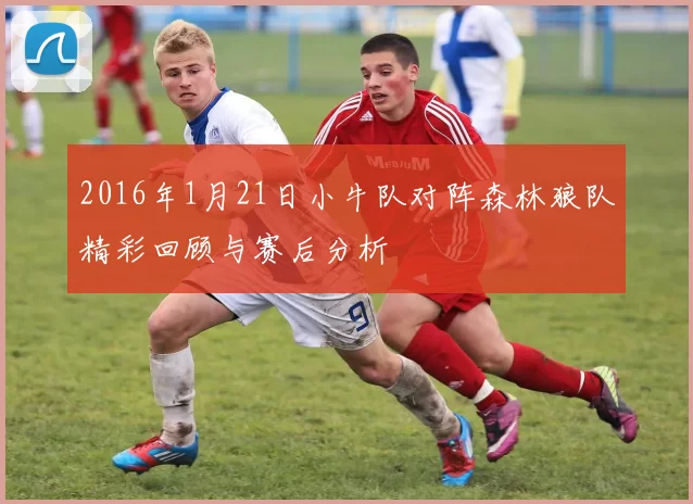 2016年1月21日小牛队对阵森林狼队精彩回顾与赛后分析