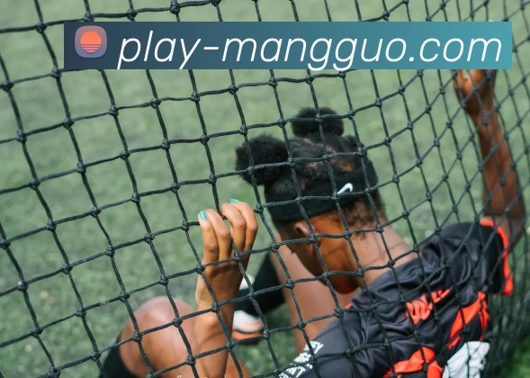 芒果体育官网APP 封面图