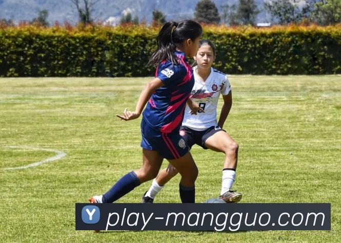 芒果体育官网全站App